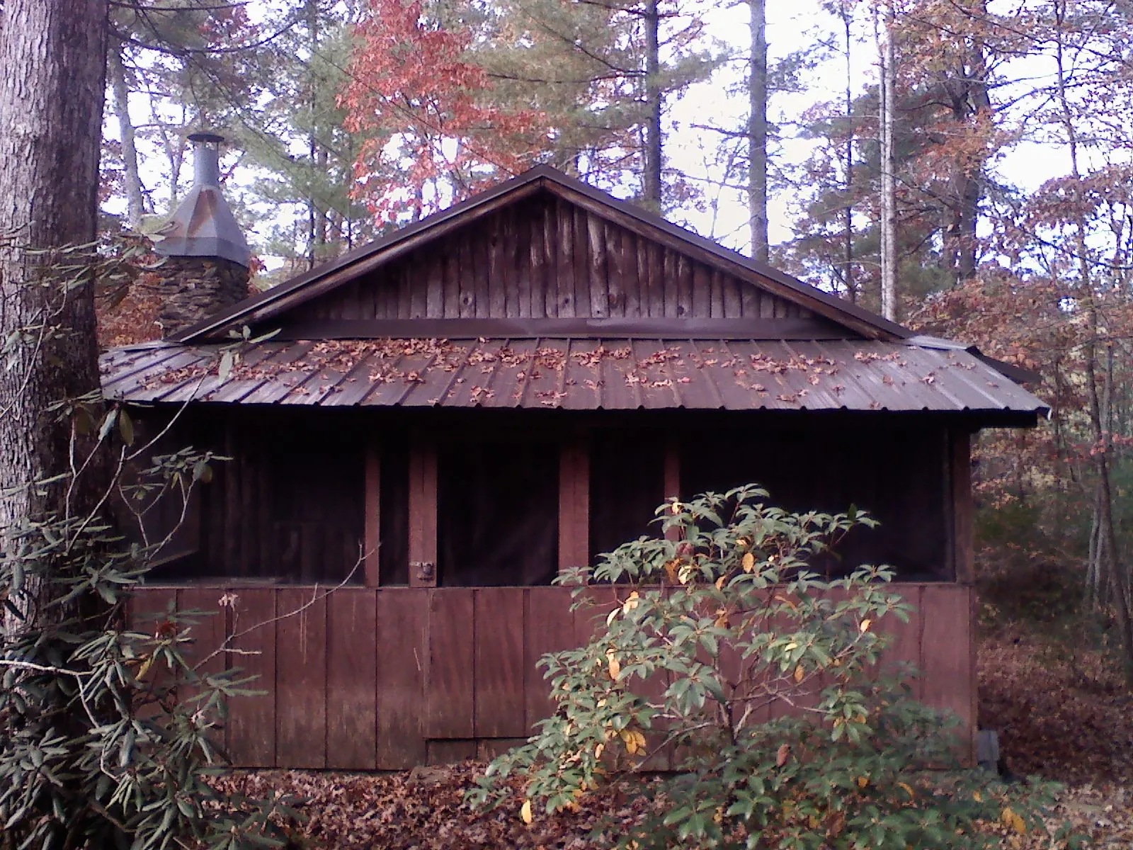 Metal roof over the screened porch of a rustic cabin in Woodland